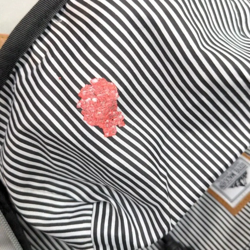 Steve Madden Barnett Avenue‎ Gray Backpack School Travel Mountain Logo Unisex